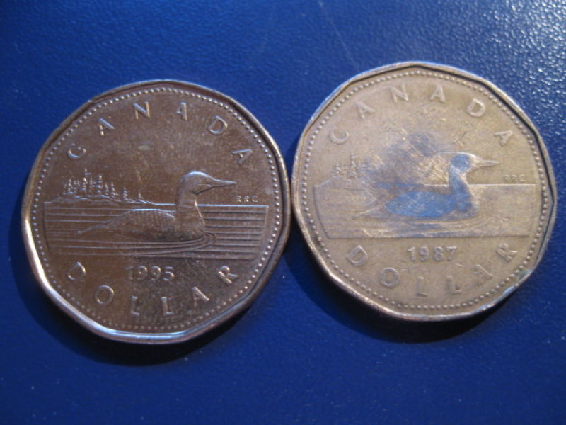 Canadian-Roll-Hunting