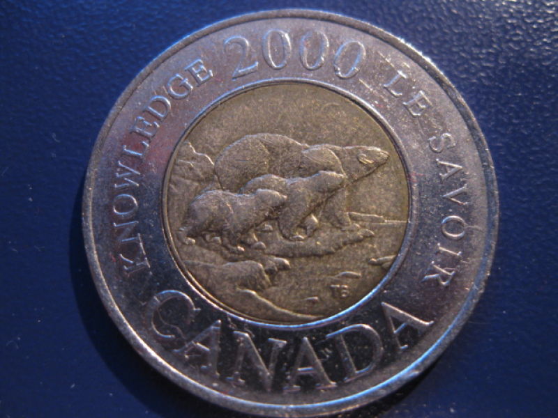 Canadian-Roll-Hunting