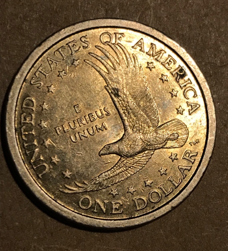 2000-P-Sacagawea-Coin-Scratch-Or-Error?
