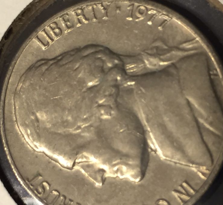 1977-Jefferson-Nickel-Would-This-Be-Graded-FS