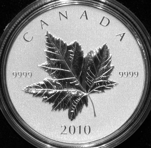 Maple-Leaf-2012---Tower-Of-Pisa