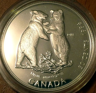 Polar-Bear-$-20-For-$-20