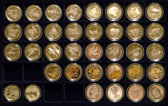 Long-Term-Value-Of-RCM-Coins