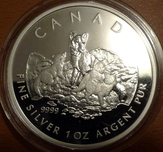 $-5-Moose-Bullion-Coin
