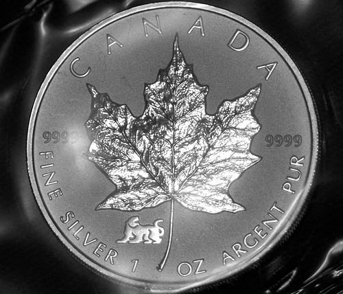 Privy-Silver-Maple-Leaf