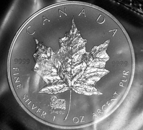 Privy-Silver-Maple-Leaf