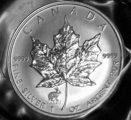 Privy-Silver-Maple-Leaf
