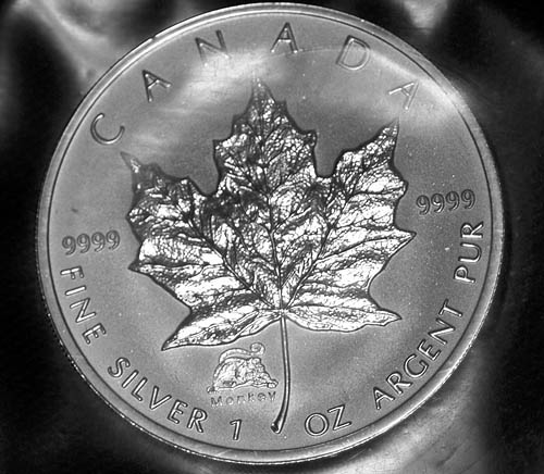 Privy-Silver-Maple-Leaf