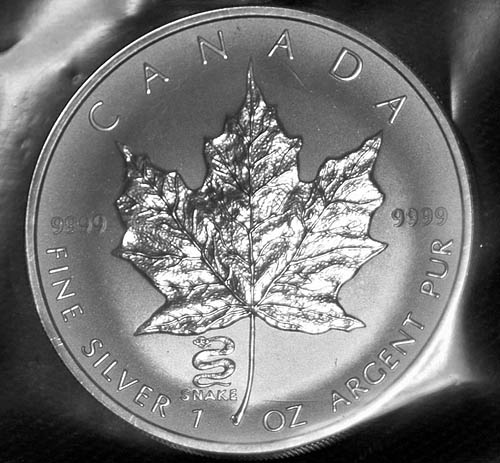Privy-Silver-Maple-Leaf