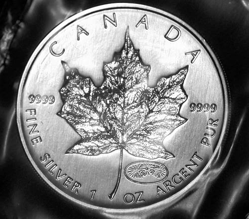 Privy-Silver-Maple-Leaf