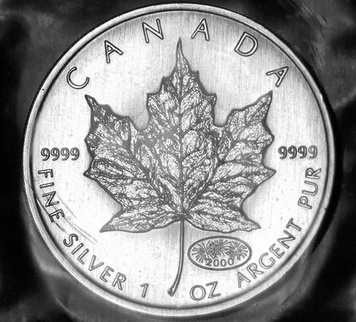 Privy-Silver-Maple-Leaf