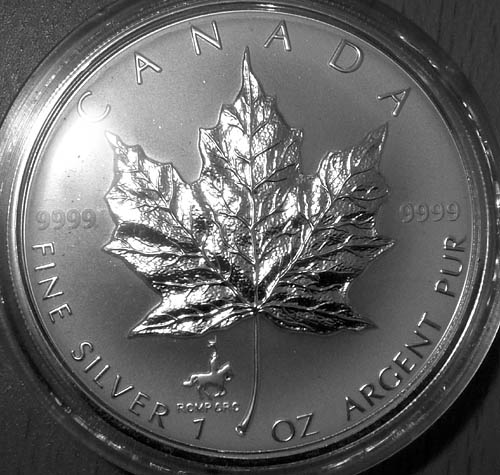 Privy-Silver-Maple-Leaf
