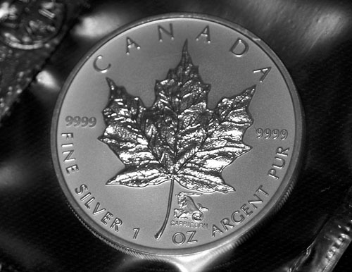 Privy-Silver-Maple-Leaf