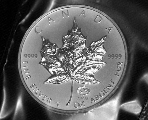 Privy-Silver-Maple-Leaf