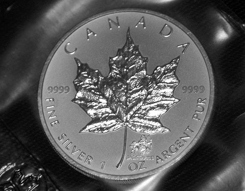 Privy-Silver-Maple-Leaf