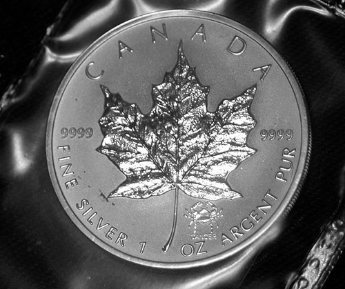 Privy-Silver-Maple-Leaf