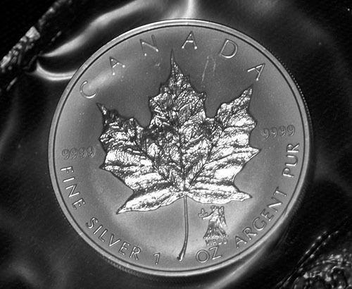 Privy-Silver-Maple-Leaf