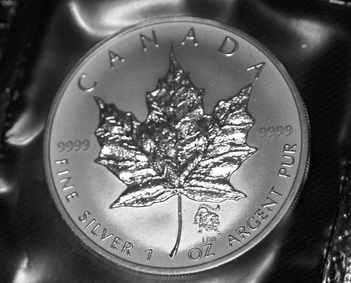 Privy-Silver-Maple-Leaf