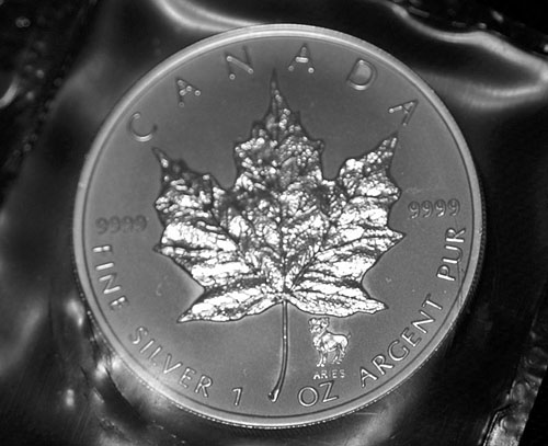 Privy-Silver-Maple-Leaf