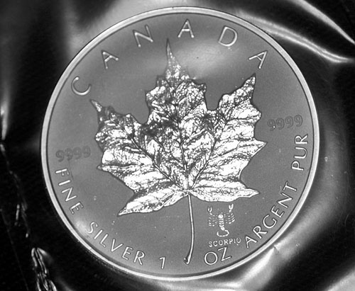 Privy-Silver-Maple-Leaf