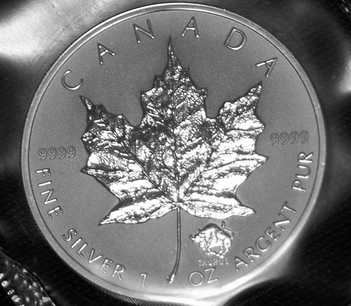 Privy-Silver-Maple-Leaf