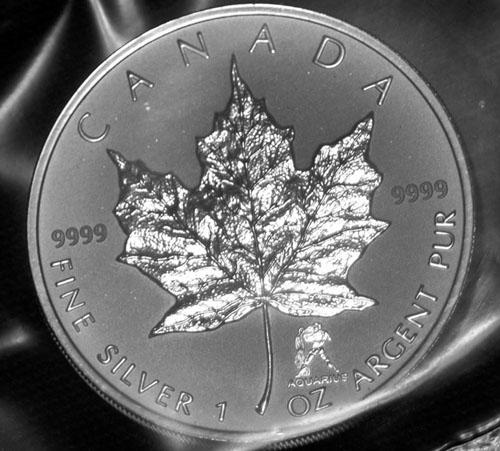 Privy-Silver-Maple-Leaf