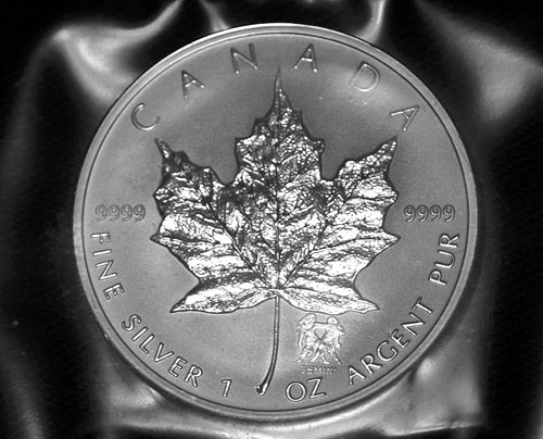 Privy-Silver-Maple-Leaf