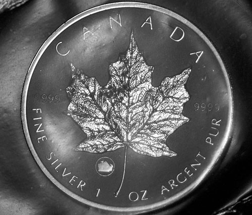 Privy-Silver-Maple-Leaf