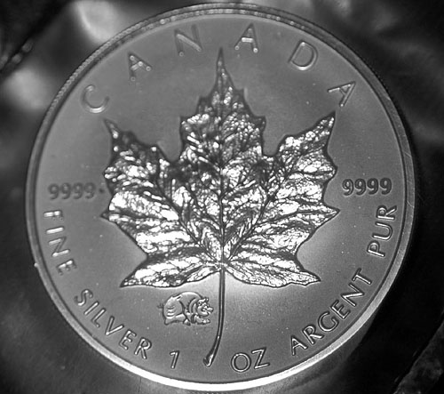 Privy-Silver-Maple-Leaf