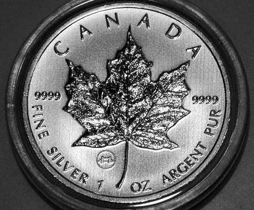 Privy-Silver-Maple-Leaf