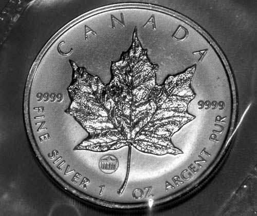 Privy-Silver-Maple-Leaf