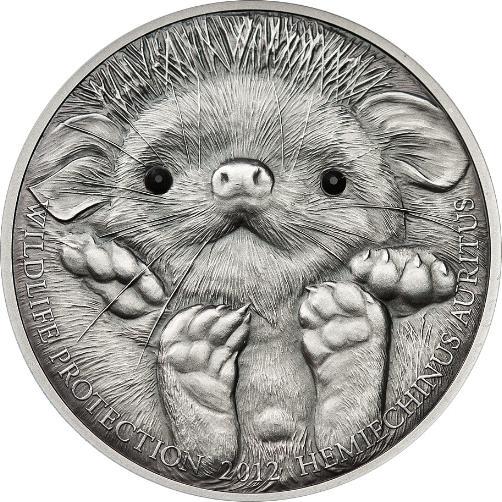 Favorite-1-Oz-Coin