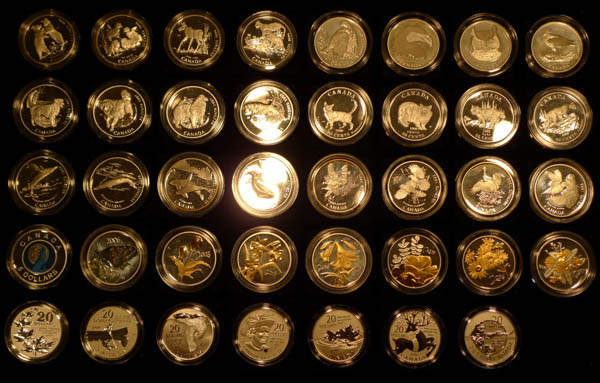 2000-Birds-Of-Prey