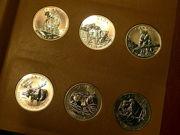 Wood-Bison---Last-Coin-#-6-In-The-Wildlife-Bullion-Series