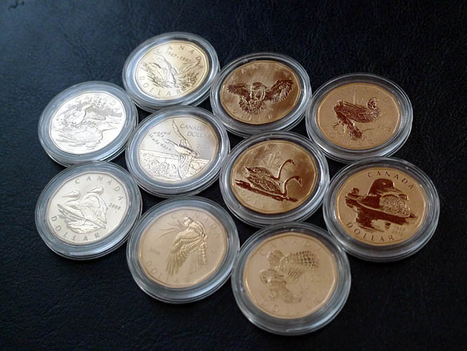 2014-Speciman-Loonie-I-Like!-What-Do-You-Think.