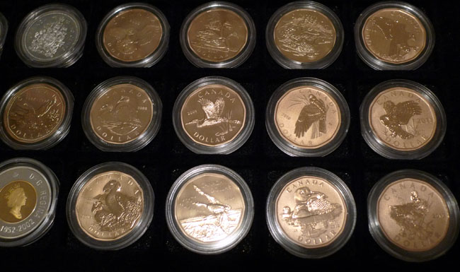Post-Your-Canadian-Bird-Coins!