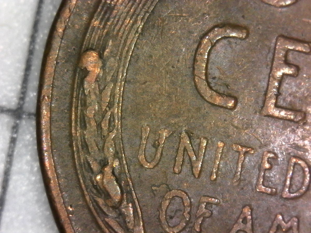 1956-LWC-Two-Large-Die-Chips-On-Wheat-Stalk?-Never-Seen-This-Before