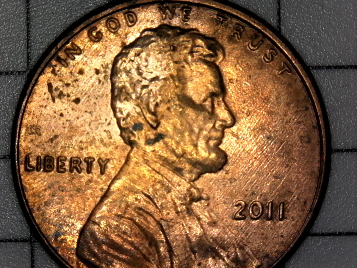 2011-LSC-DDO-001-Beauty