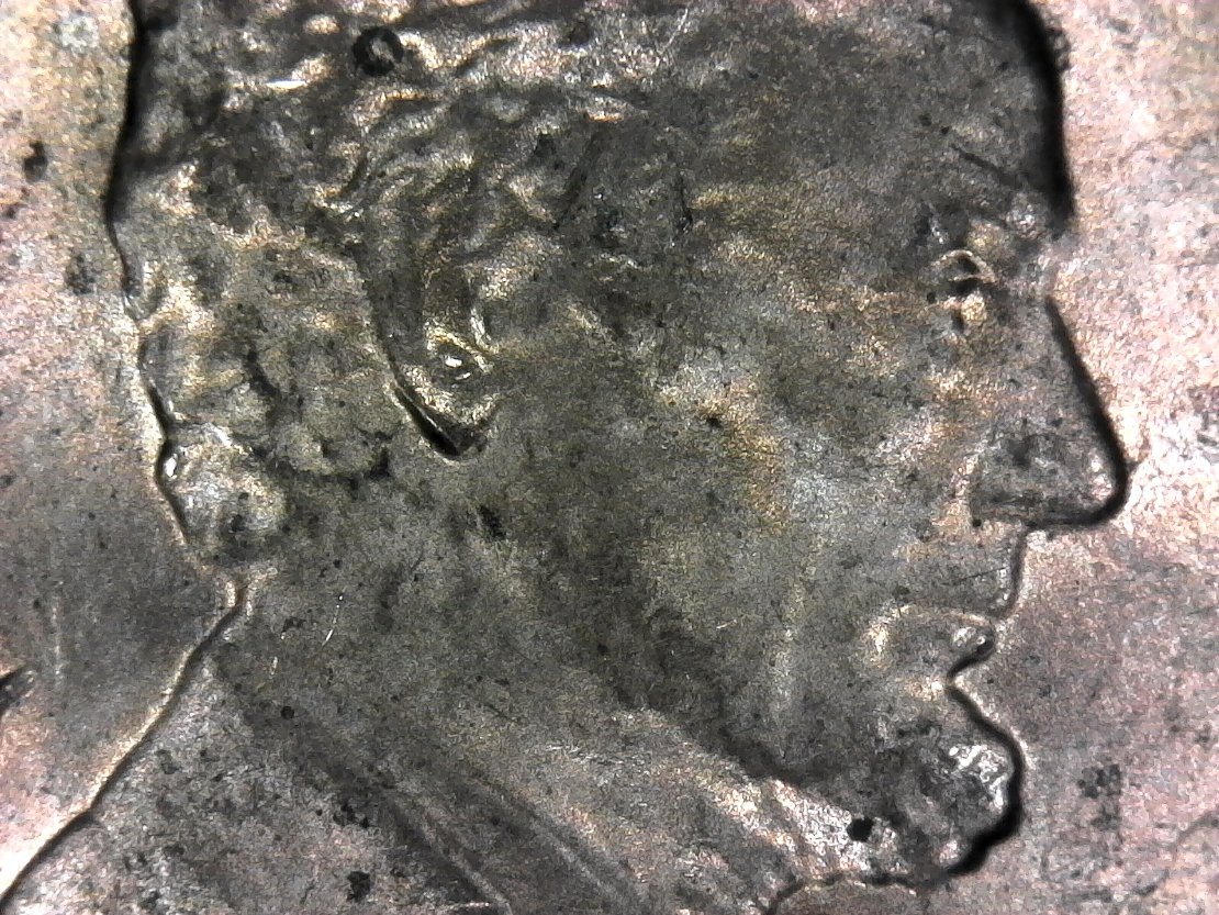 2017-LSC-Pointy-Ear?