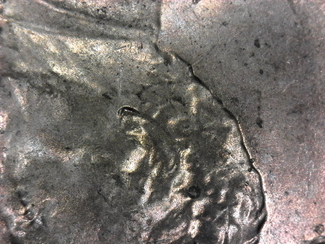 2017-LSC-Pointy-Ear?