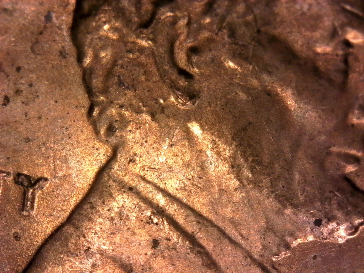 2017-LSC-Pointy-Ear?