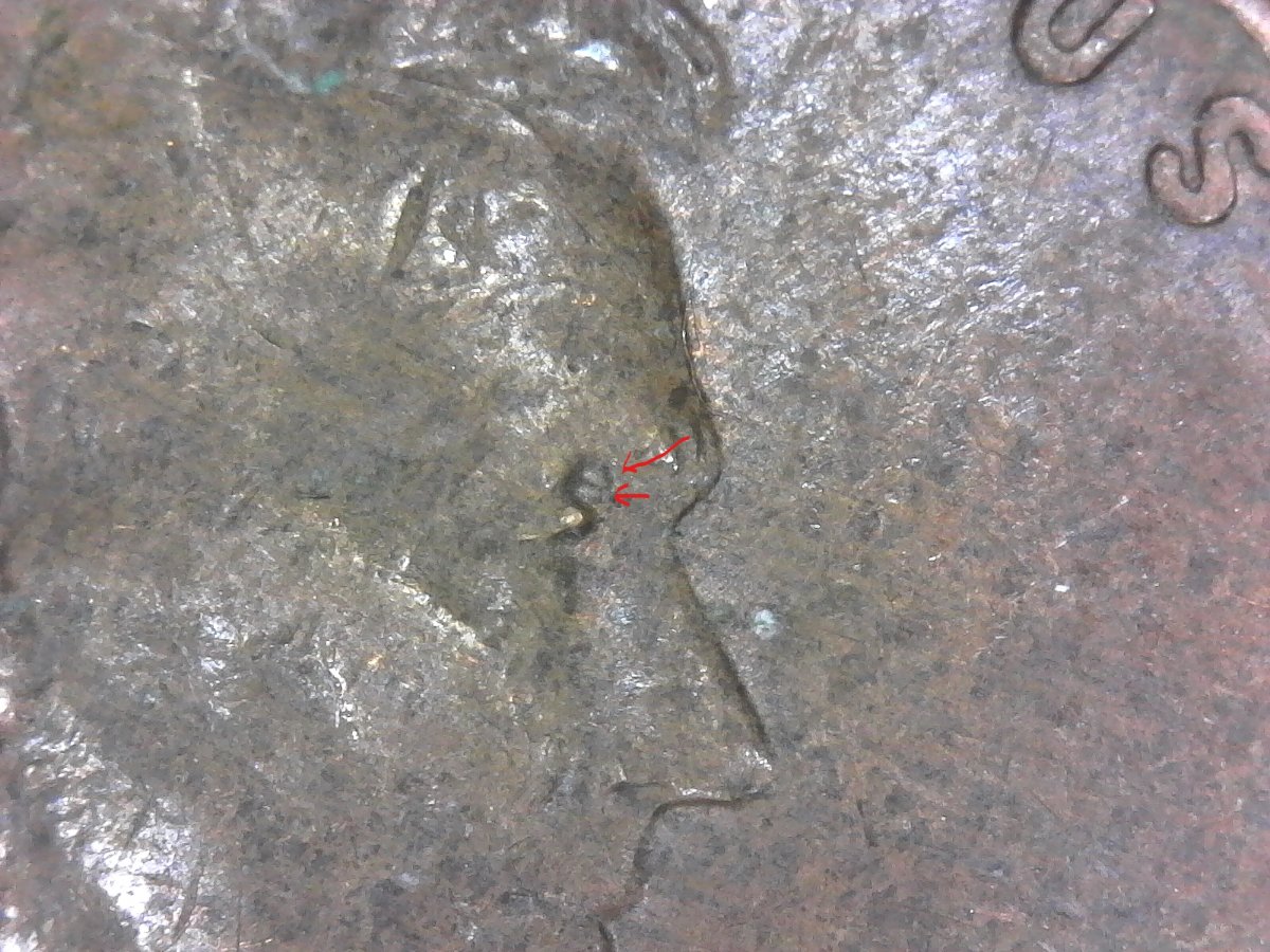 1953-D-LWC-Unlisted-Doubled-Eyelid?