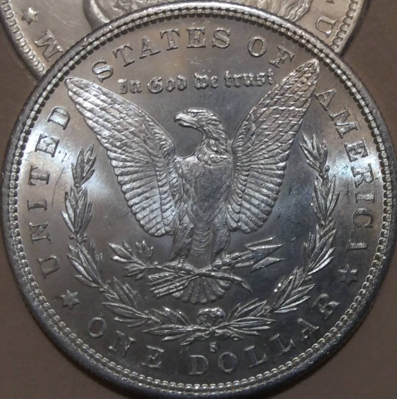 1882-S-Morgan-Dollar-For-Grading