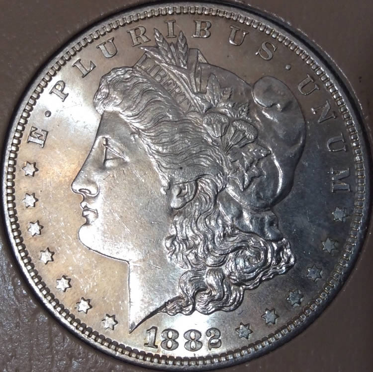1882-S-Morgan-Dollar-For-Grading