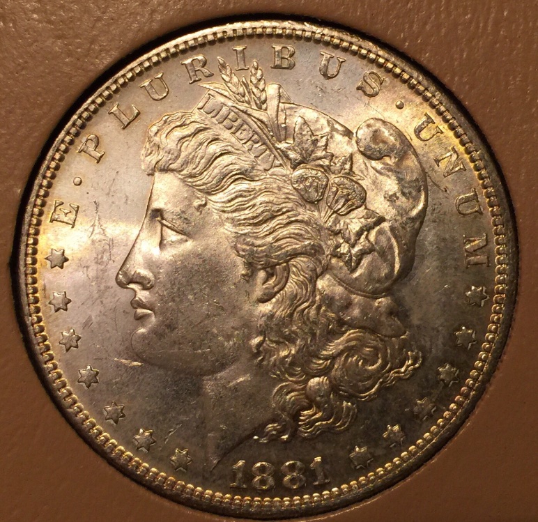 1881-S-Morgan-Dollar-For-Grading
