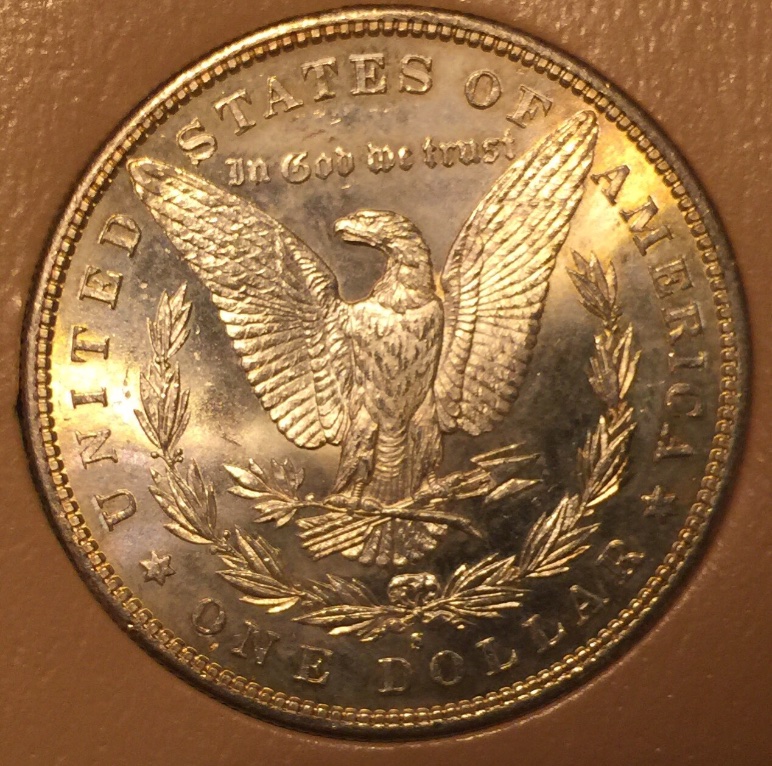 1881-S-Morgan-Dollar-For-Grading
