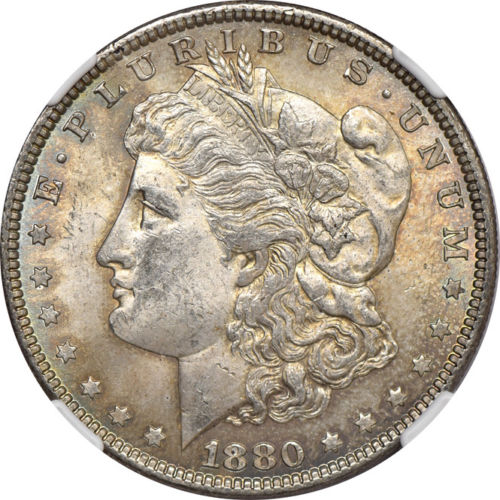 1880-Morgan-Dollar-For-Grading