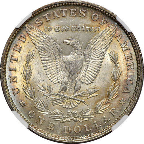 1880-Morgan-Dollar-For-Grading