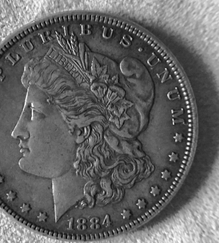 1884-Morgan~-What-Should-I-Store-Her-In?