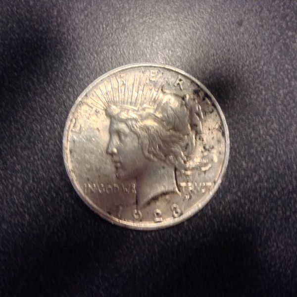 Loose-Eisenhower-Dollar-Hunting